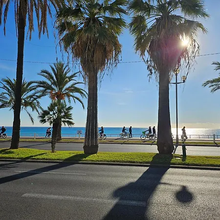 Flots D'azur Promenade Des